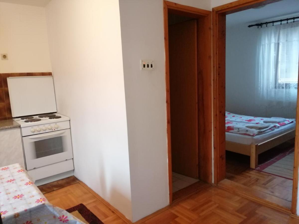 Pansion Velickovic Apartment Niska Banja Bagian luar foto