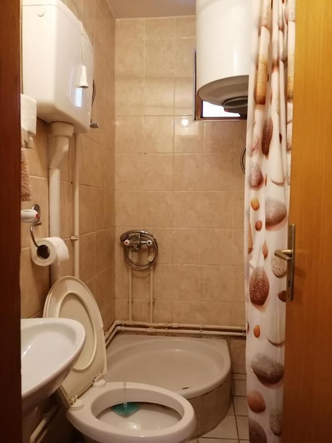 Pansion Velickovic Apartment Niska Banja Bagian luar foto